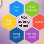 Các Yếu Tố Ảnh Hưởng Của Môi Trường Quản Trị