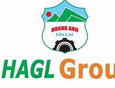 Công Ty Hoàng Anh Gia Lai Của Ai