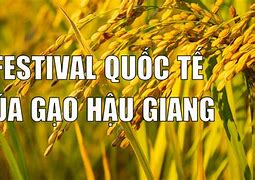 Festival Quốc Tế Ngành Hàng Lúa Gạo Việt Nam