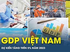 Gdp Trà Vinh 2023